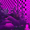 MissingTexture