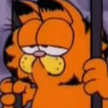 Garfield Garfield